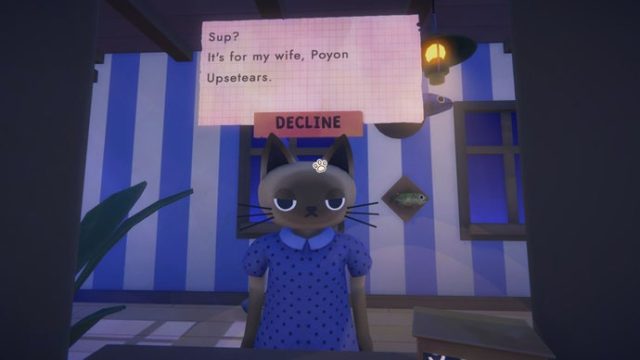 Explore the Whimsical World of Cat Mail Co. Today!