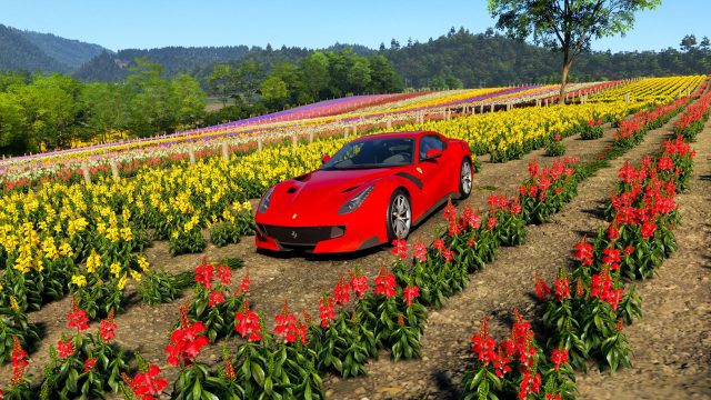 Explore the Stunning Shikisai-no-Oka in Forza Horizon 6