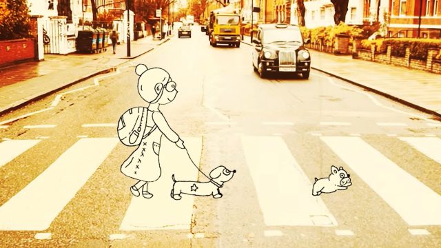 Experience the Joy of Finding Polka: A Heartwarming Adventure